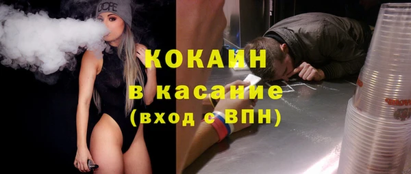 прущие грибы Карпинск