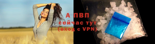 бошки Касимов