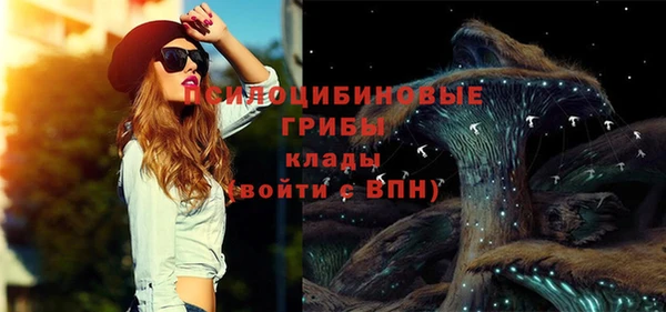 прущие грибы Карпинск