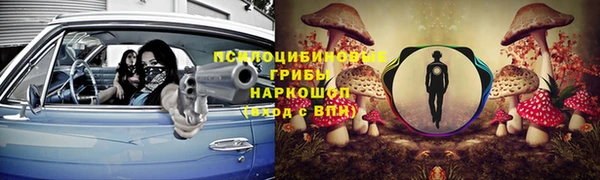 бошки Касимов