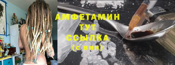 прущие грибы Карпинск
